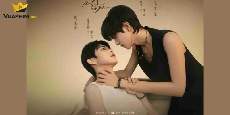 Các cách để chọn phim phù hợp với mình