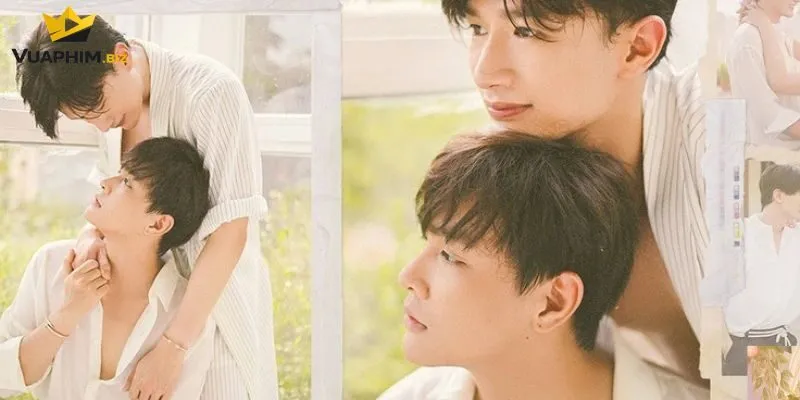 Các lưu ý quan trọng khi tham khảo review phim