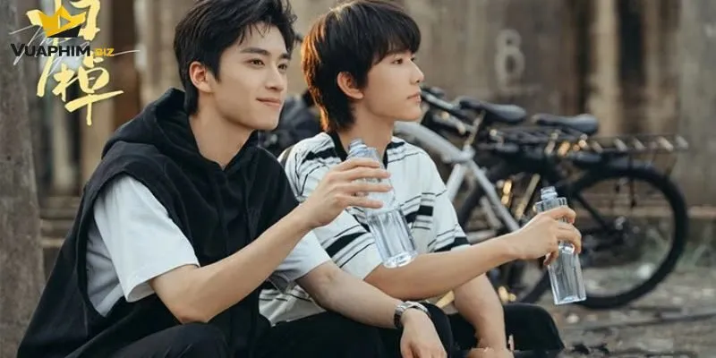 Lý do phim đam mỹ Trung Quốc mới nhất được người xem yêu thích