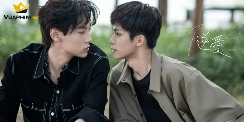 Những nét đặc trưng cơ bản của phim đam mỹ hiện đại