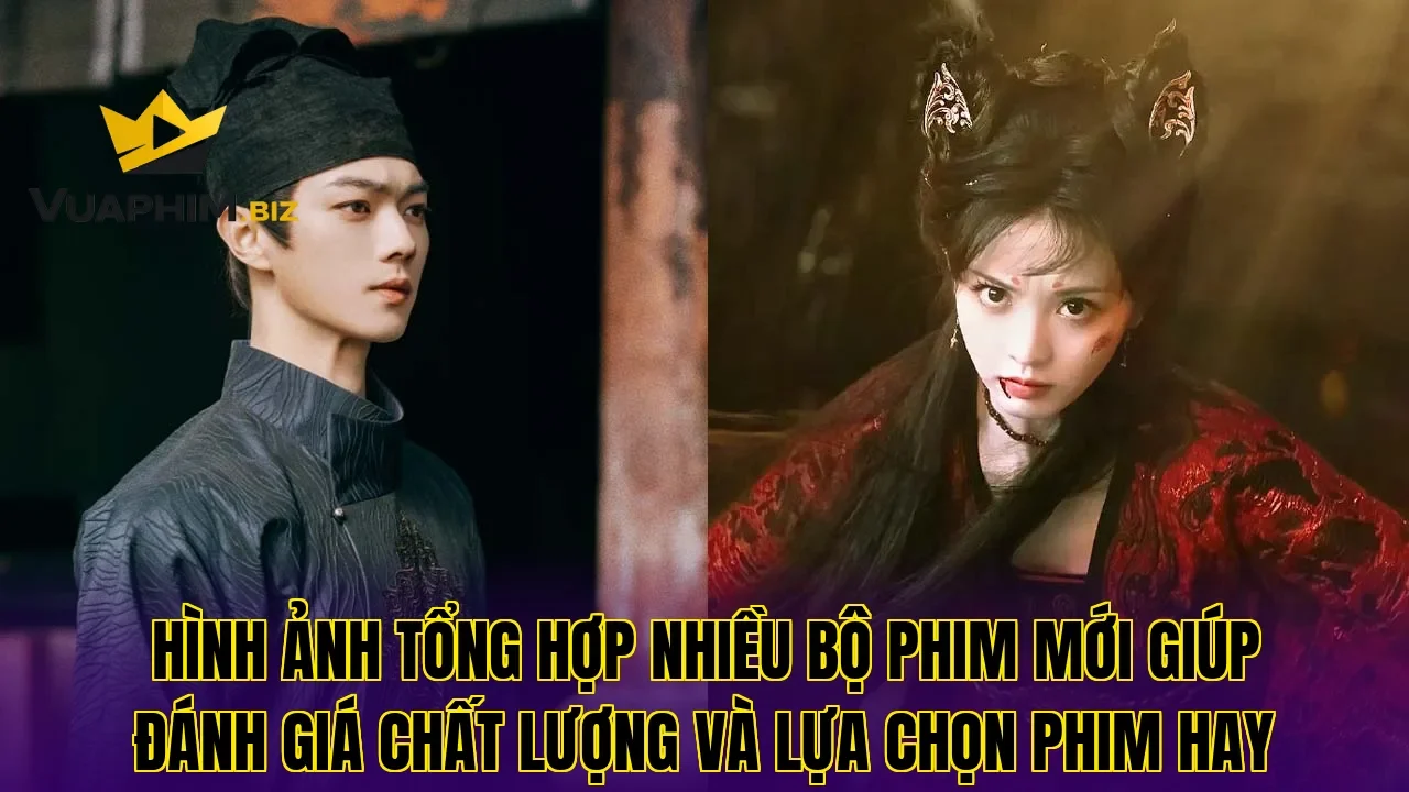 Hình ảnh tổng hợp nhiều bộ phim mới giúp đánh giá chất lượng và lựa chọn phim hay