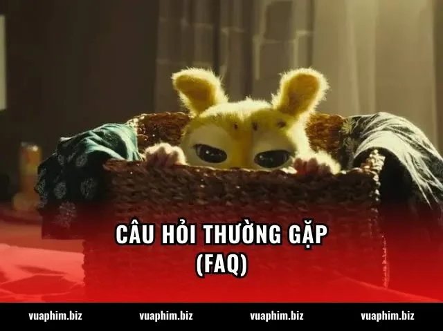 Câu hỏi thường gặp (FAQ)