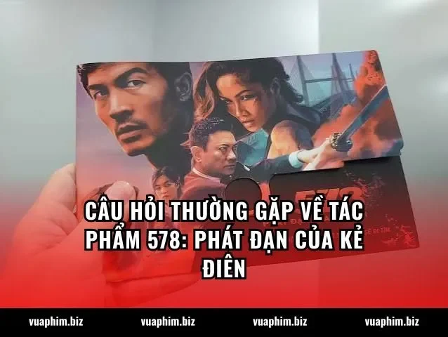 Câu hỏi thường gặp về tác phẩm 578: Phát đạn của kẻ điên