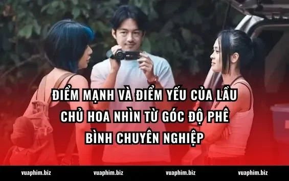 Điểm mạnh và điểm yếu của Lầu Chủ Hoa nhìn từ góc độ phê bình chuyên nghiệp