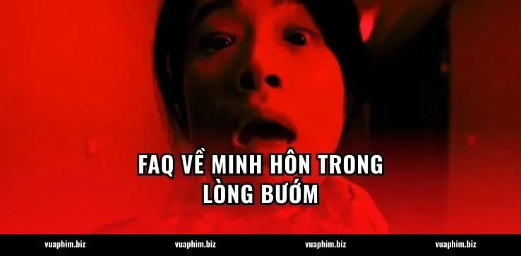FAQ về Minh hôn trong lòng bướm