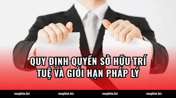 Quy định quyền sở hữu trí tuệ và giới hạn pháp lý