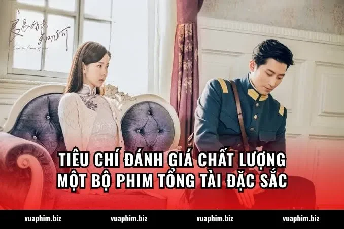 Tiêu chí đánh giá chất lượng một bộ phim Tổng tài đặc sắc