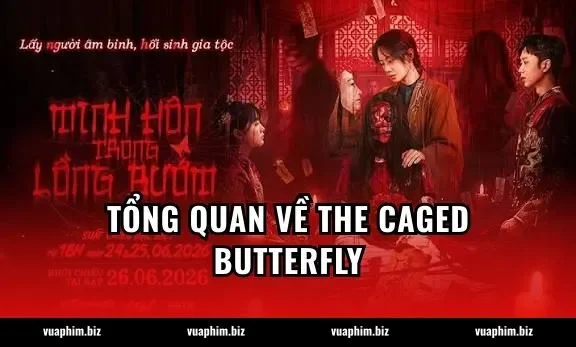 Tổng quan về The Caged Butterfly