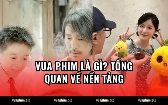 Vua Phim Là Gì? Tổng Quan Về Nền Tảng